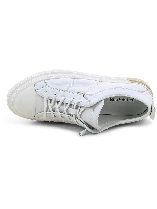 נעלי סניקרס קלאסיות